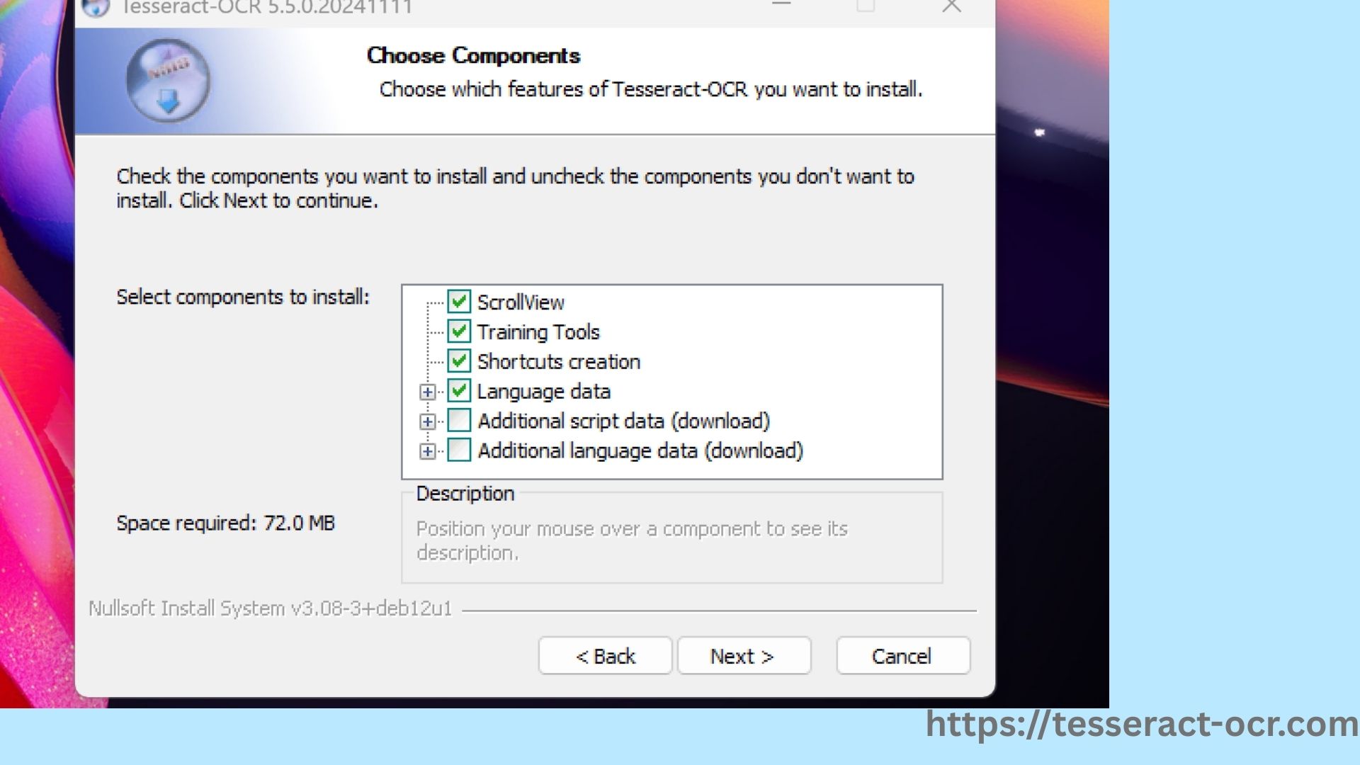 Tesseract OCR installer - installation directory and options